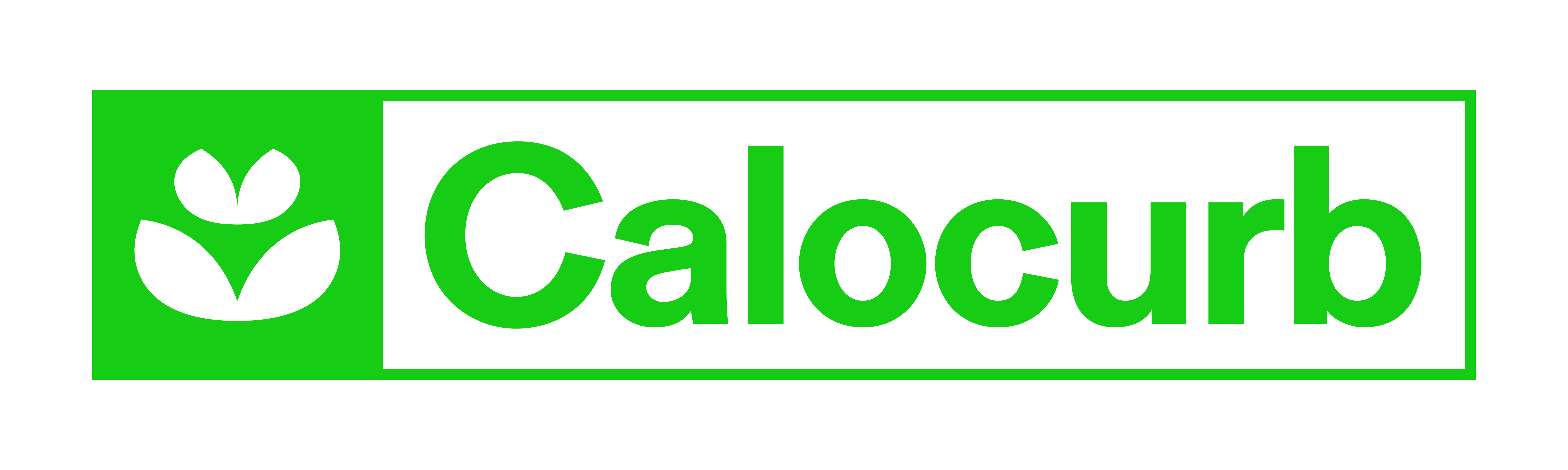 Calocurb Ltd
